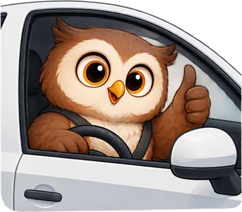 Un hibou chauffeur lève le pouce à la fenêtre de sa voiture